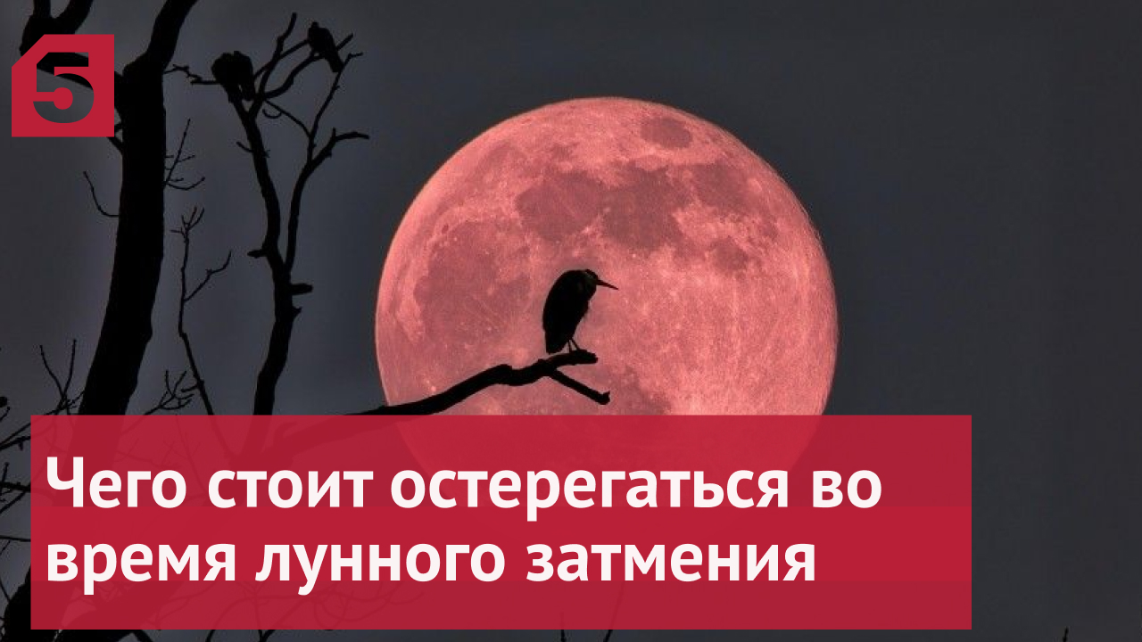 Лунное затмение 2024 джйотиш. Лунное затмение 16 мая 2022. Лунное затмение сегодня. Лунное затмение Кровавая Луна. Полное лунное затмение в Скорпионе.
