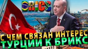 С чем связан повышенный интерес Турции к вступлению в БРИКС