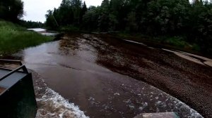 Даже не знаю чтобы я делал без КАРАКАТА! // Рыбалка рагатками на таёжной речке. Грибы/Ягоды/Отдых.