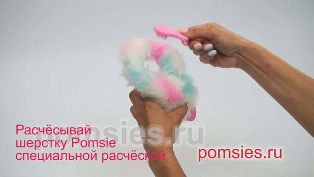 Как ухаживать за Pomsies, пушистым котенком