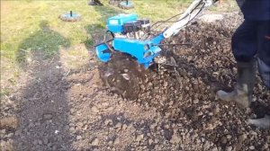 Мотокультиватор Прораб GT 71 SK