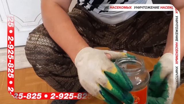 Чем травить клопов. Тестируем ЮРАКС.#СанконтрольКрасноярск. смотреть онлайн