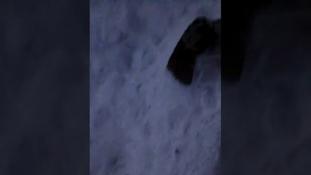 Наулеце