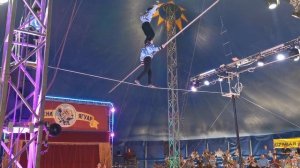 Цирк арена ягуар в Балаково