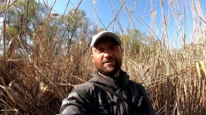 КРУПНЫЙ КАРАСЬ РВЕТ ЛЕСКУ В КАМЫШЕ! ЛОВЛЯ КАРАСЯ НА УДОЧКУ! РЫБАЛКА НА КАРАСЯ ВЕСНОЙ НА ПОПЛАВОК .