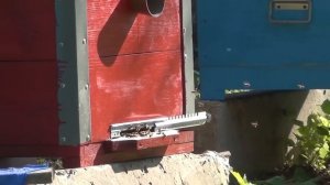 Поднял  дом залил  фундамент