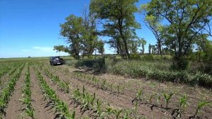 Зеркальный Скрадок невидимка!