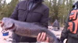 Рыбалка в Карелии. Кумжа Пяозера.