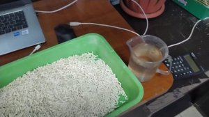 Тестирую кошачий наполнитель Freep  Тофу. Экологический.