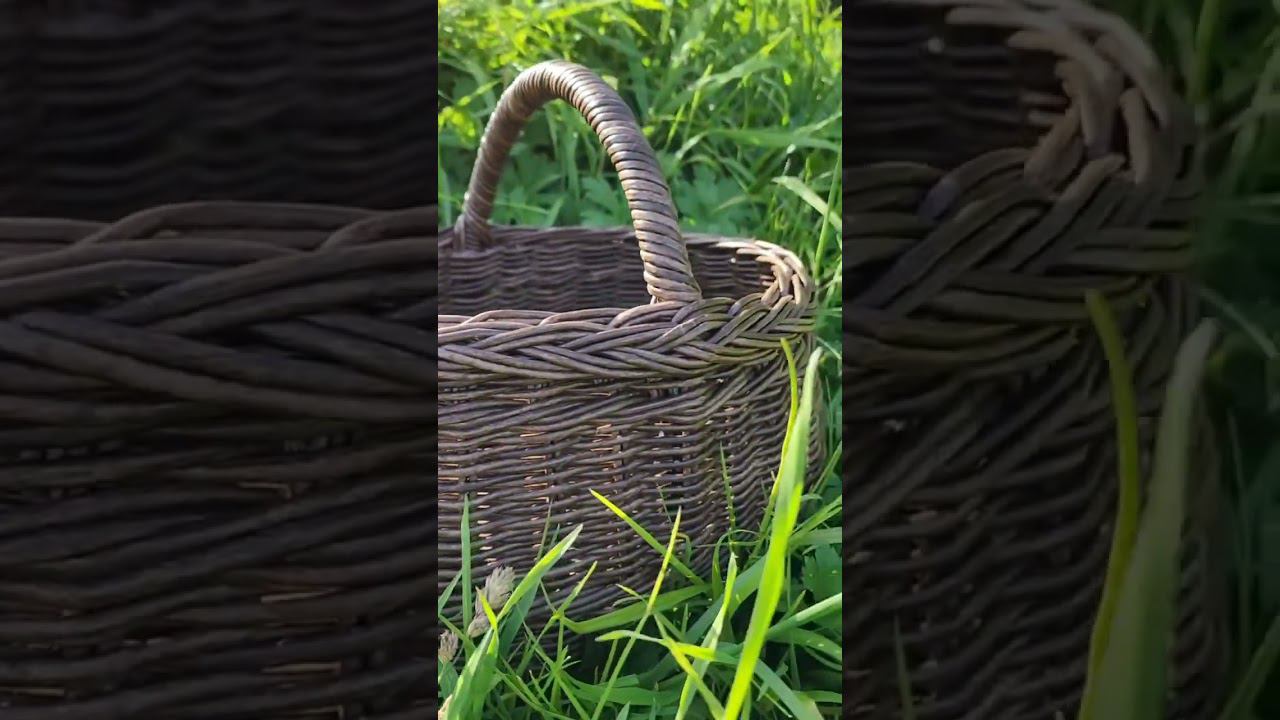 Корзинки из бумажной лозы своими руками #плетениеизлозы