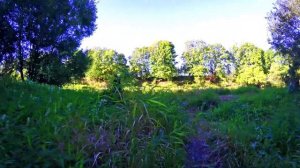 Немножко природы Брянска(пробное видео)