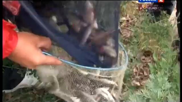 Моя рыбалка. "Народная рыбалка" в Самарской области. Часть 1 смотреть онлайн