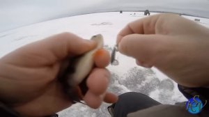 Ловля Окуня на Блесну и Конус (пирамиду).