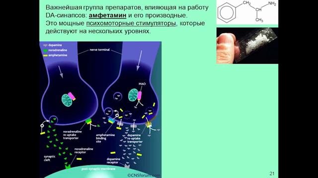 12Мозг медиаторы потребностей введение в нейрохимию и нейрофармакологию