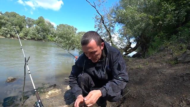 рыбалка краснодарский край рыбалка на кубани рыбалка в краснодарском крае река кубань
