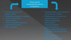 Кровотечения II половины беременности.