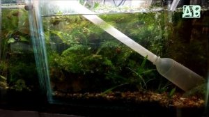 ПОДМЕНА ВОДЫ В АКВАРИУМЕ ИЗ ПОД КРАНА! КАК, СКОЛЬКО, ЧТО ЗА ЧЕМ И ПОЧЕМУ!