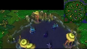 Warcraft III - The Tempest