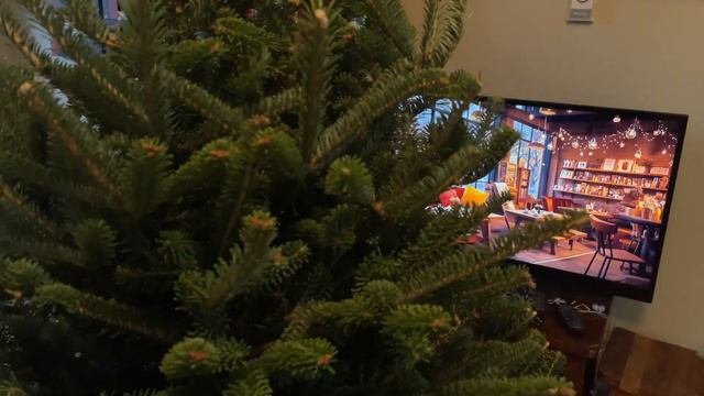 ВЛОГМАС 🎄✨ покупаем ёлку, лучшая книга декабря