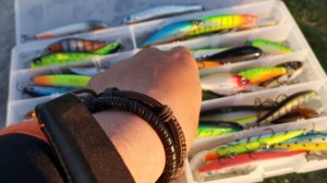 Годовой отчёт 2021 по воблерам - УЛОВИСТЫЕ ПРИМАНКИ и в чём их храню (коробки и сумки под воблера)