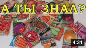 ВЫБИРАЕМ СЕМЕНА: на что обращать внимание, какой производитель лучше