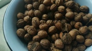 ГРЕЦКИЙ ОРЕХ, МОЖНО ЛИ ЕГО МЫТЬ?