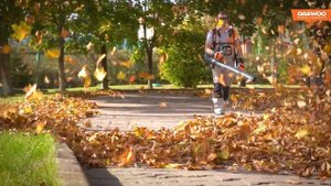 Профессиональная ранцевая бензиновая воздуходувка DAEWOO DABL 760