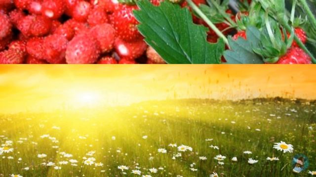 ? ? Красивая музыкальная открытка про лето? ? смотреть онлайн