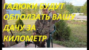 КАК ИЗБАВИТЬСЯ ОТ ГАДЮК НА ДАЧЕ САМЫЙ ЭФФЕКТИВНЫЙ МЕТОД, ЗМЕЙ БОЛЬШЕ НЕ ПРИПОЛЗУТ К ВАМ, ПРОВЕРЕННО.