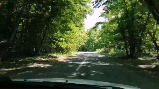 Дагестан. Приморск. Лиановый лес. Каспийское море. Автостопом с палаткой по Кавказу