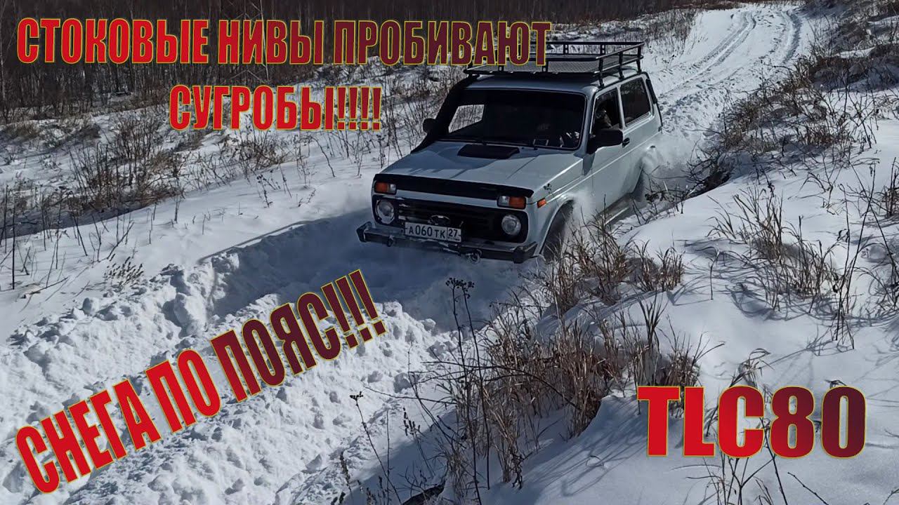 Стоковые НИВЫ рвут сугробы! | Нива TLC80