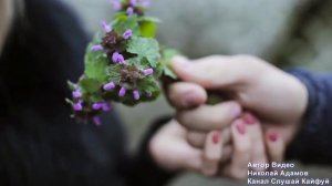 Весенняя новинка 2018! Слушайте и Кайфуйте друзья!! Старый сад - Алик Бендерский NEW 2018