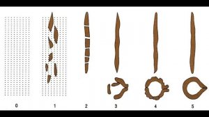 Четвертичные оледенения. Что они оставили после себя?