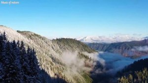 Красивая фортепианная музыка - расслабляющая музыка, учебная музыка, снятие стресса, музыка для сна