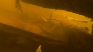 Подводная охота в Московской области.