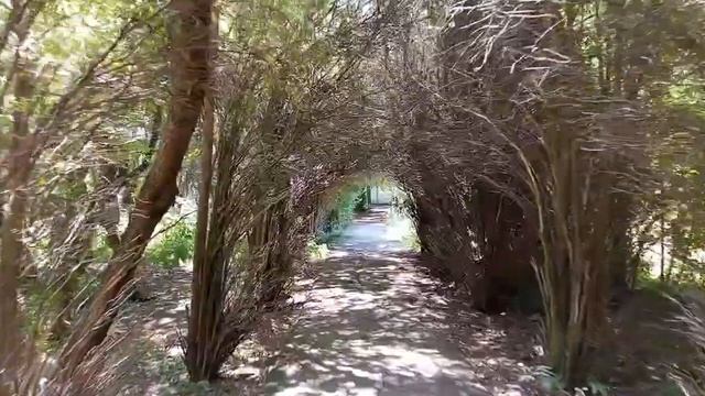 Прямой эфир 9 августа 2022. Едем на электричке в Ессентуки. смотреть онлайн