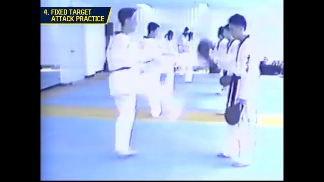 TAEKWONDO TRAINING VIDEO