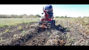 Различия КОПКИ КАРТОШКИ |на минитракторе| и мотоблоке|