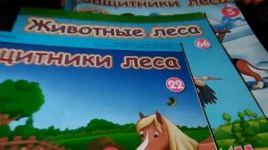 Моя коллекция животных леса 1 часть.