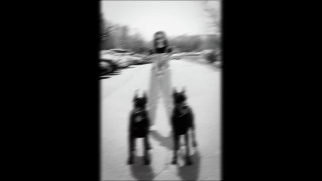 Широка река Remix ( Tik Tok Popular song) смотреть онлайн