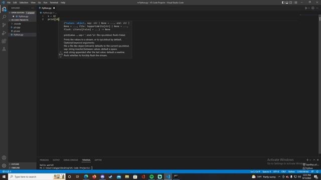 Coding 101: Print Statements (Python)