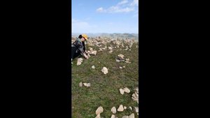 воспоминание.