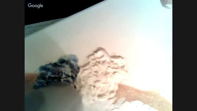 Весенний декупажный интенсив Марина Трублина  Объемное панно смотреть онлайн