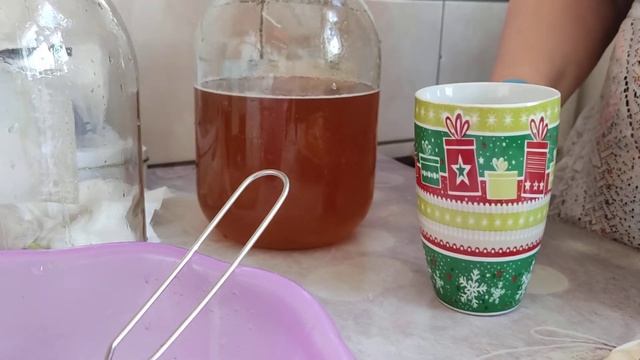Комбуча . Как я готовлю чайный гриб для вас . смотреть онлайн