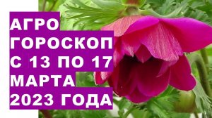 Агрогороскоп с 13 по 17 марта 2023 года. Агрогороскоп з 13 по 17 березня 2023 року