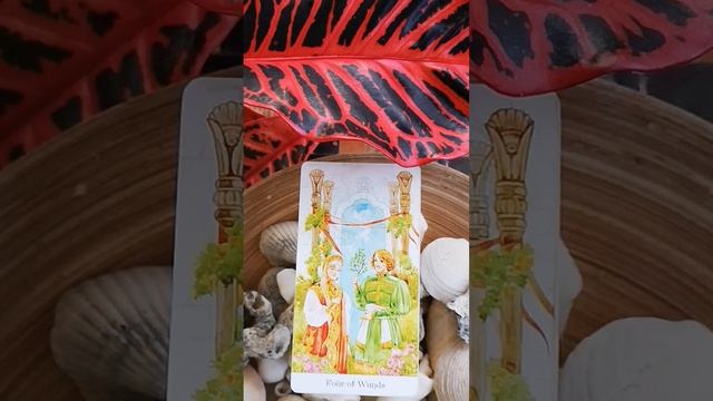 Какой дар Вы получите вскоре от Высших Сил ❤️ #tarot