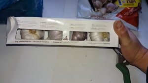 Чешские сорта чеснока, обзор посылки от нашего земляка. А также Морадо от Виктора.