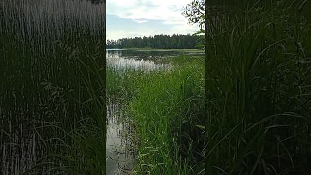 Озеро Валдай, Иверский мужской монастырь, 05.07.2022г.