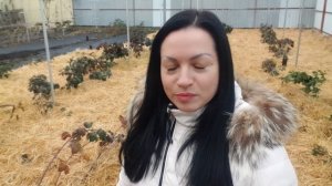 Дополнения к ролику о соломе! Использую солому как органическое удобрение!