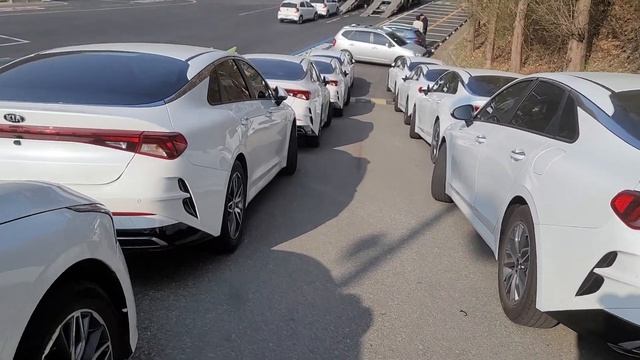 Продаётся таксопарк 67 автомобилей KIA K5 2021г. пробег от54-79к. смотреть онлайн